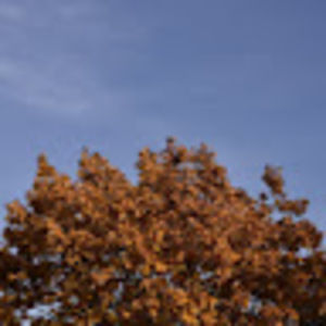 Meet your Posher, Sonia